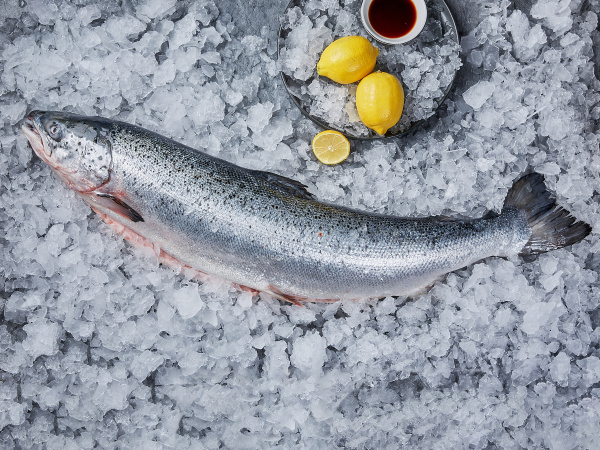 Лосось 5-6 охлажденный