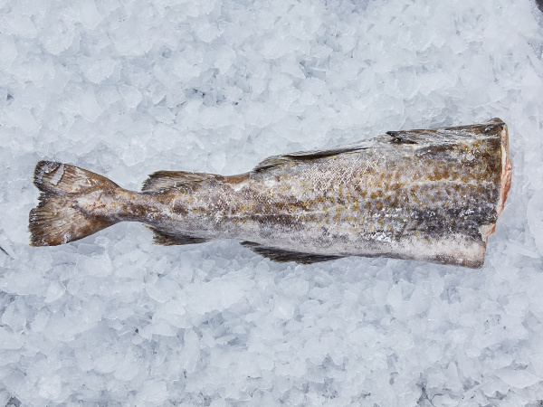 Минтай свежемороженый