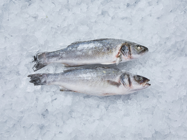 Сибас охлаждённый