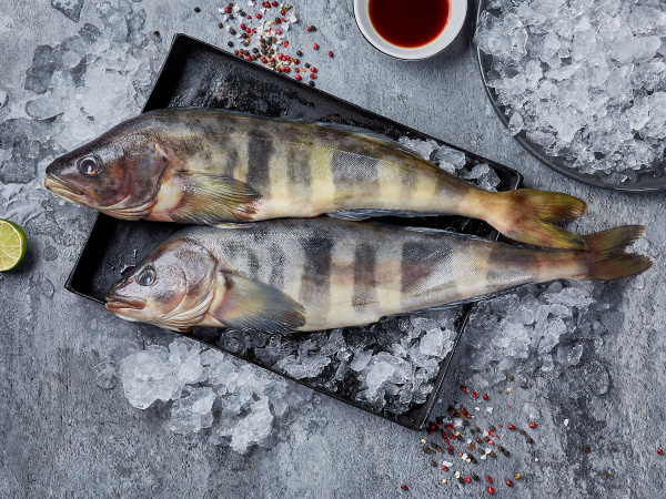 Терпуг дефростированный