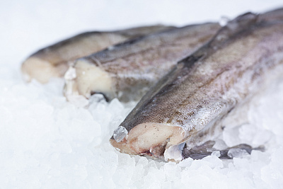 Минтай свежемороженый