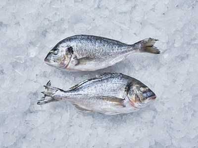 Дорада н/р с/м 400-600 