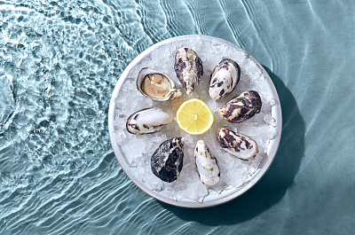 Устрица живая "Джоли" (шт)