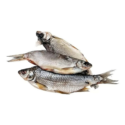 Плотва вяленая