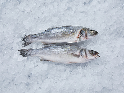 Сибас н/р с/м