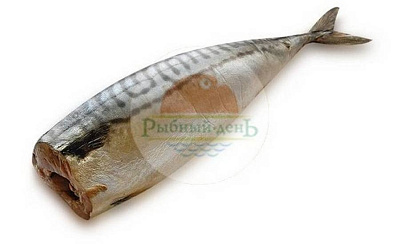 Скумбрия провесная
