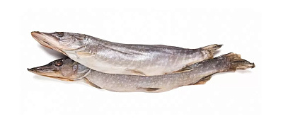 Щука вяленая