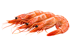 Креветки 